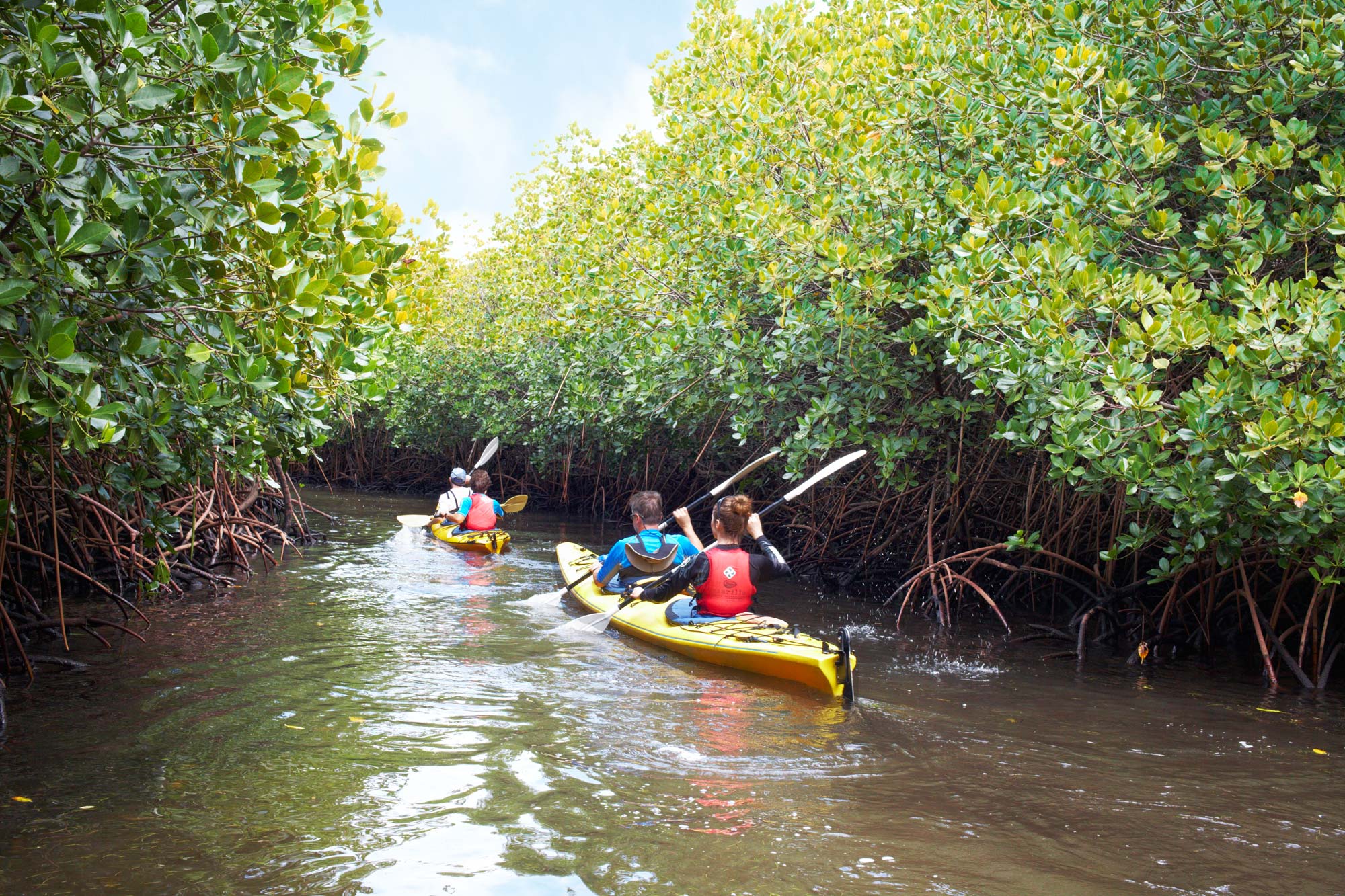 Travel Agent in Andaman